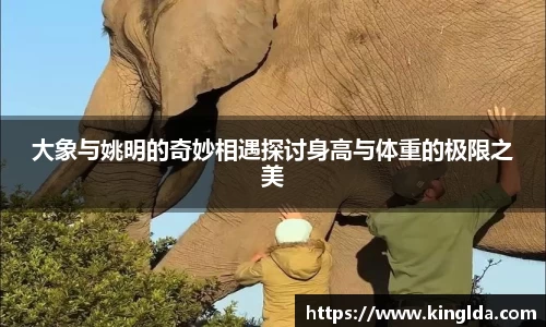 大象与姚明的奇妙相遇探讨身高与体重的极限之美